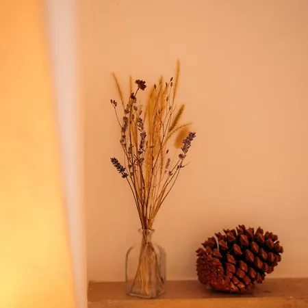 Appartement Waldgefluester Todtnau